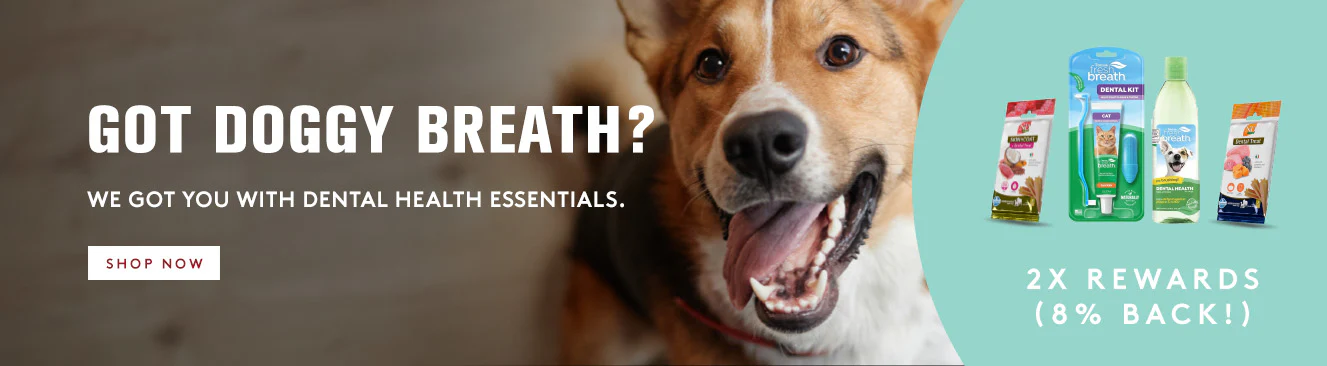 Timeless Style for Modern Living